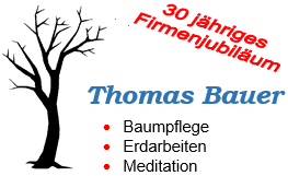 Logo Thomas Bauer
